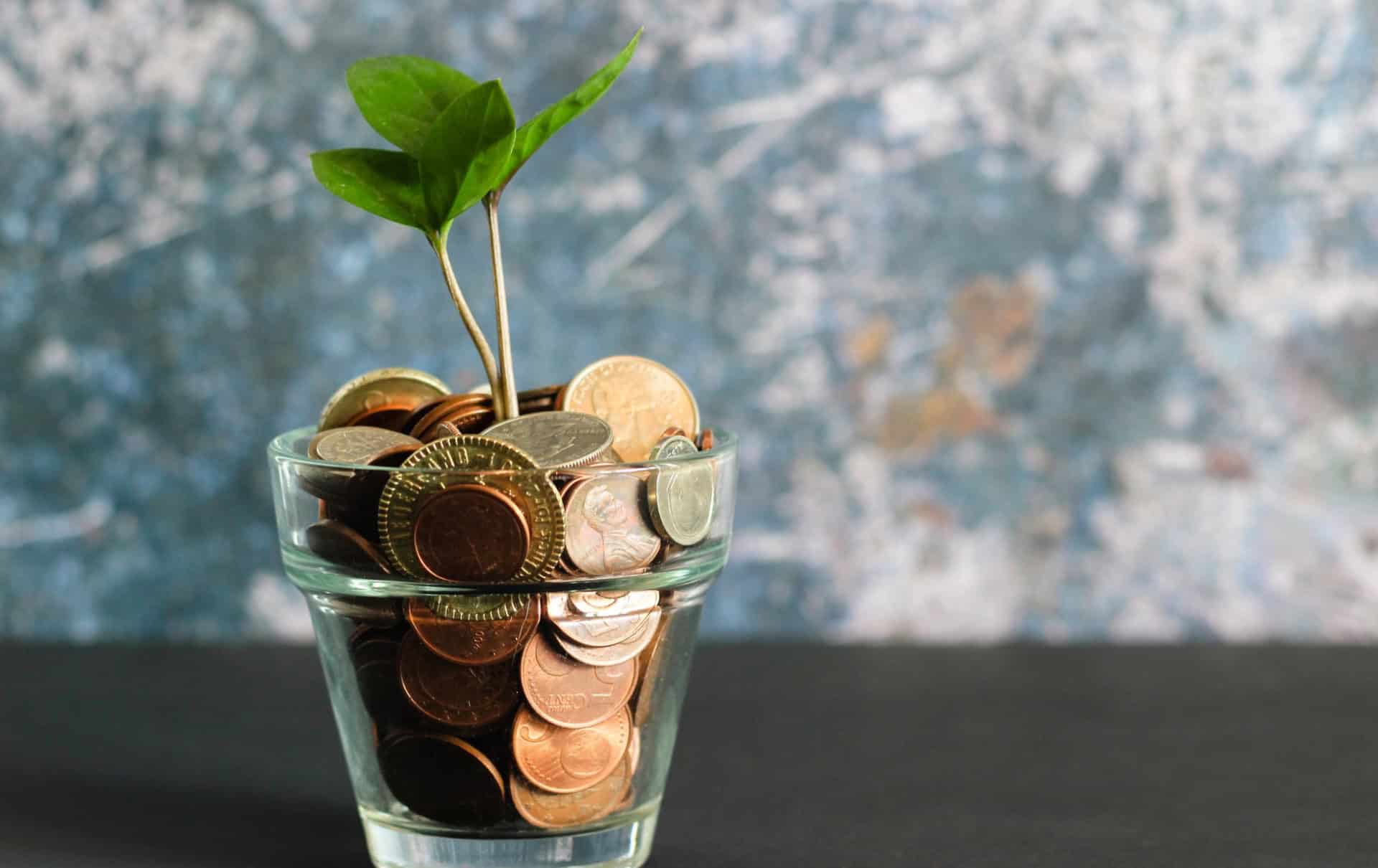 image of coins in a glass pot with a plant growing out of it
