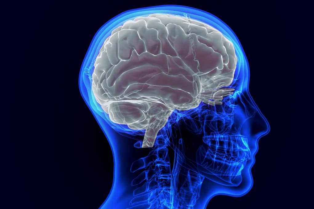 Stroke Preparedness Through Income Protection and Dread Disease Cover