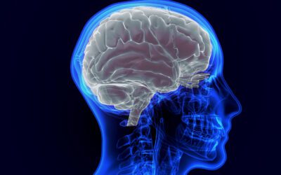Stroke Preparedness Through Income Protection and Dread Disease Cover
